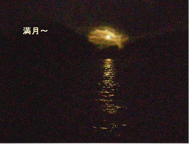 満月の夜はナイトカヤック_b0129725_16594269.jpg