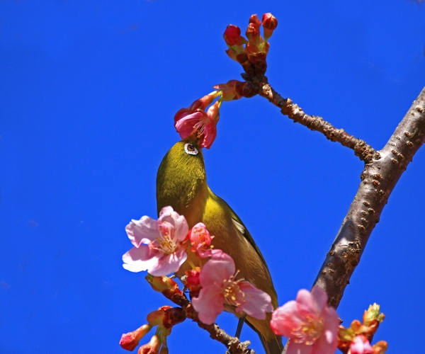 c0104227_0191152.jpg