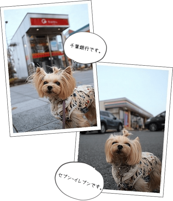 d0179828_08325613.png