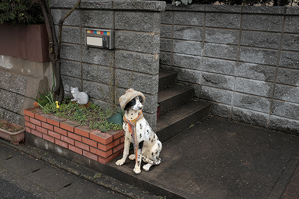 装い_a0097735_21124023.jpg