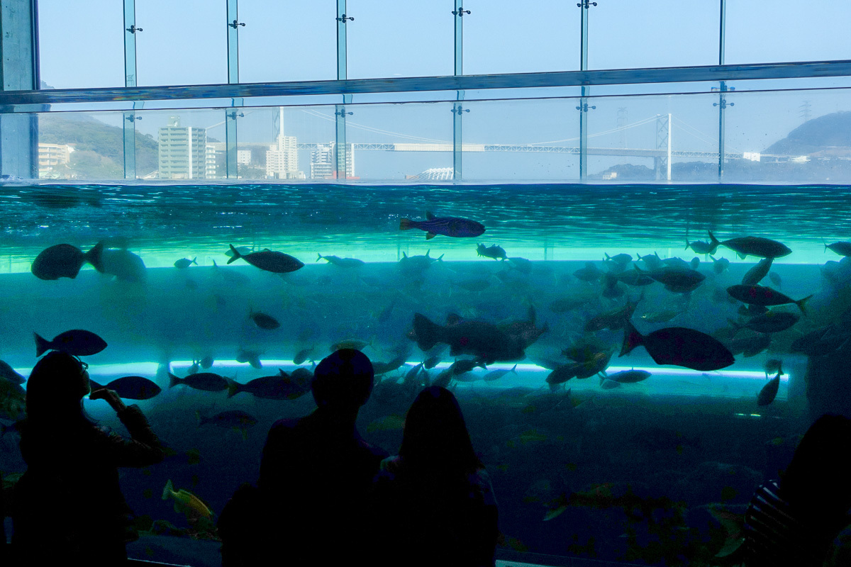 関門海峡潮流 この道は風なり