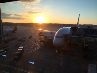 b0325640_1159247.jpg