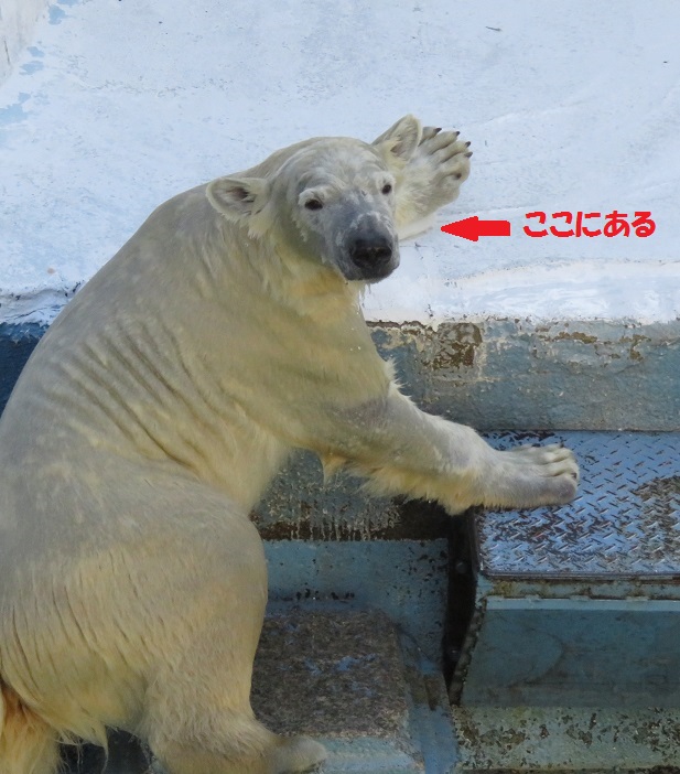 f0002743_13285210.jpg