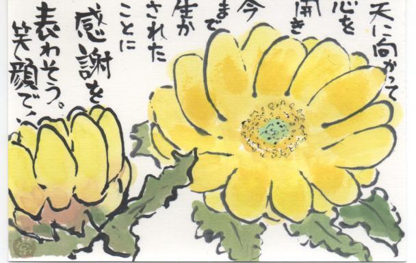 福寿草 感動の絵手紙 書き方講座