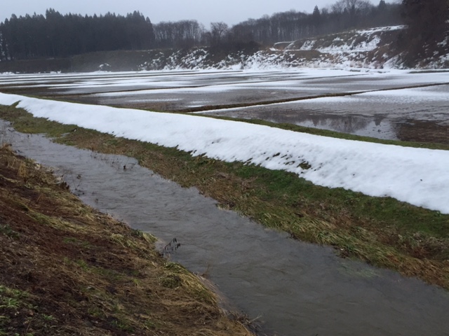 雪解け水がコポコポドボン_b0311459_6255522.jpg