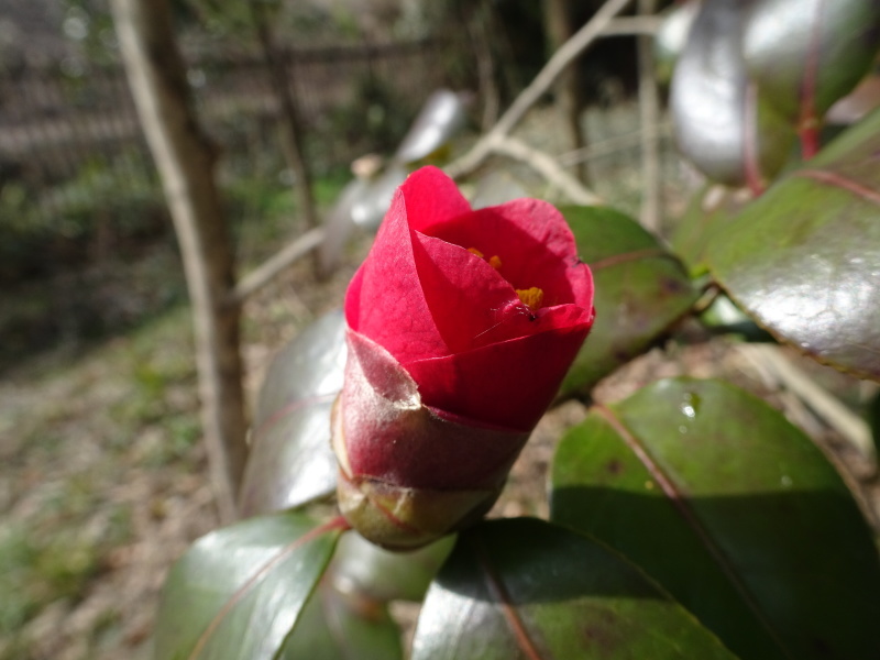 c0108460_00174458.jpg