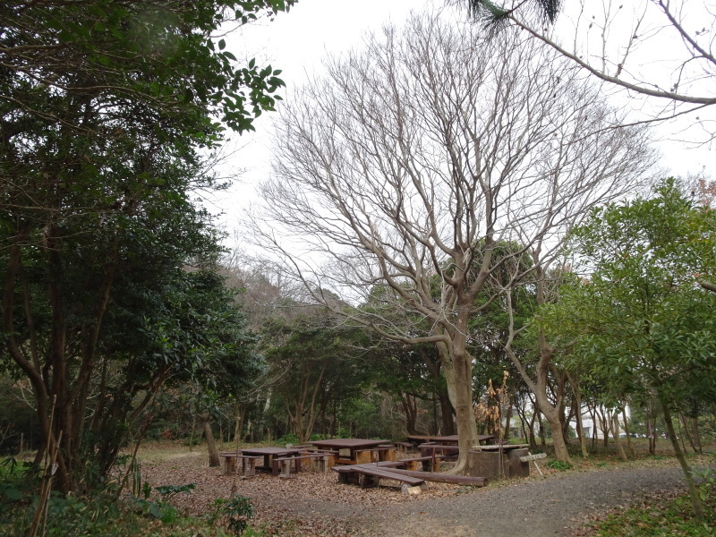 平成28年3月度運営委員会・・・うみべの森を育てる会_c0108460_21032264.jpg
