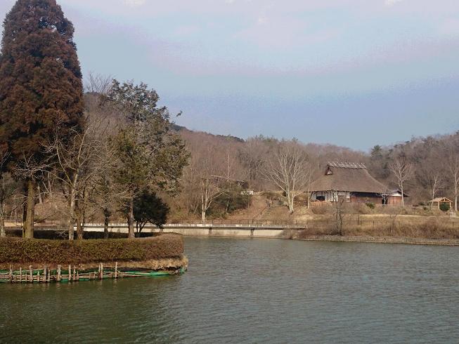c0260463_67725.jpg