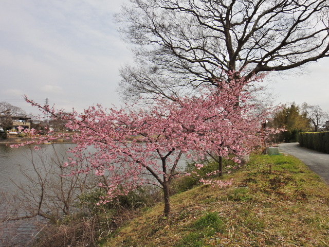b0092366_00315120.jpg