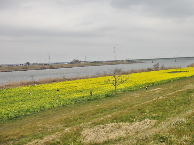 b0092366_00374371.jpg
