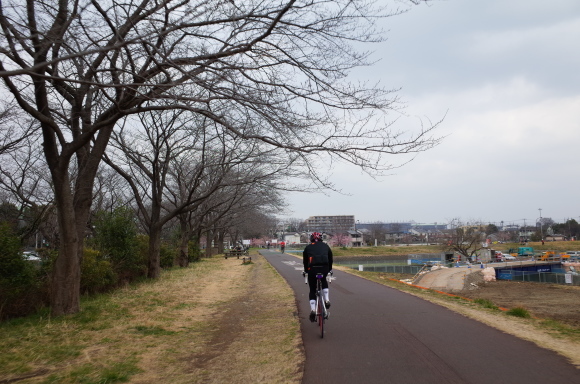 a0232368_21382610.jpeg