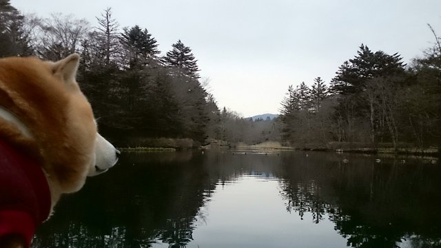 b0274270_12495087.jpg