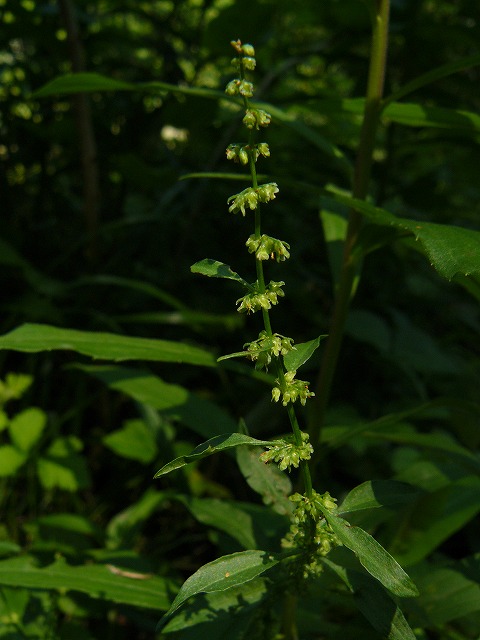 d0019074_15115231.jpg
