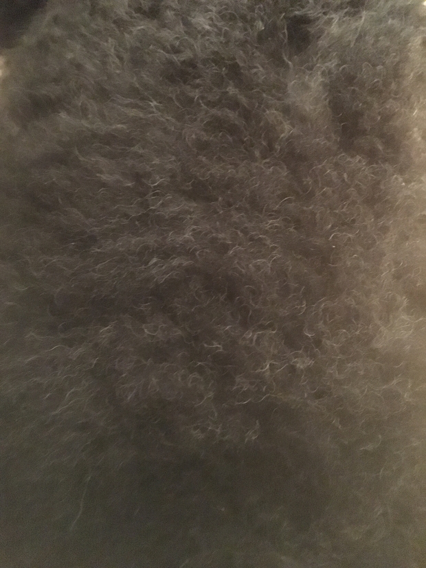 c0283778_1215642.jpg