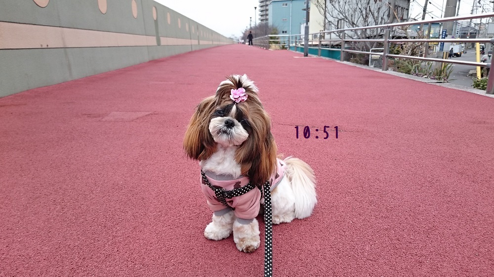 c0363378_16085859.jpg