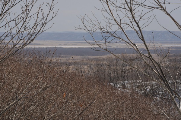 冬の釧路湿原 Kushiro Wetland in Winter_f0268294_21312833.jpg