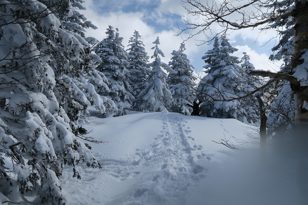  徳舜瞥山、ホロホロ山、オロオロ山、3月5日－最終回－_f0138096_2136530.jpg