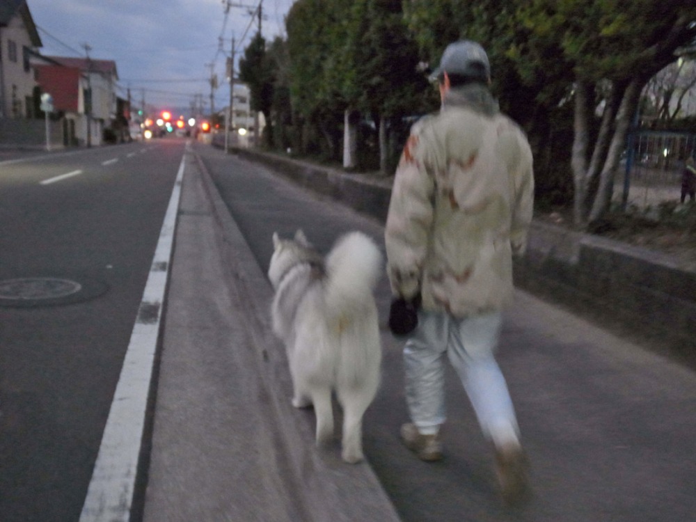 どっかん夕日！　(^o^)_c0049299_22553916.jpg