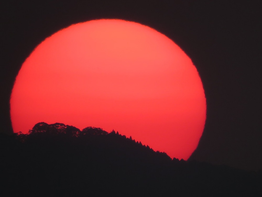 c0049299_233785.jpg