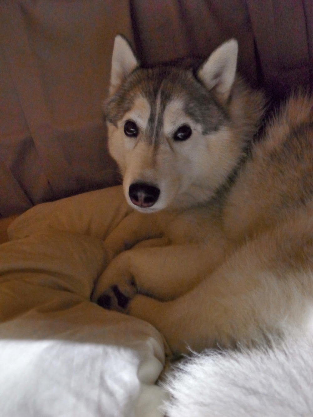c0049299_2371260.jpg