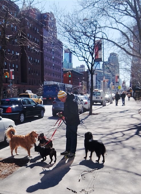 NYミッドタウン・ウェスト、52~42丁目間の11番街沿いの風景_b0007805_351394.jpg