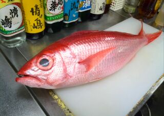 八丈島の飛び魚が飛んできたよ〜<゜)))彡_c0251006_14182837.jpg