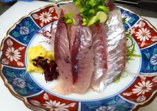 八丈島の飛び魚が飛んできたよ〜<゜)))彡_c0251006_14182849.jpg