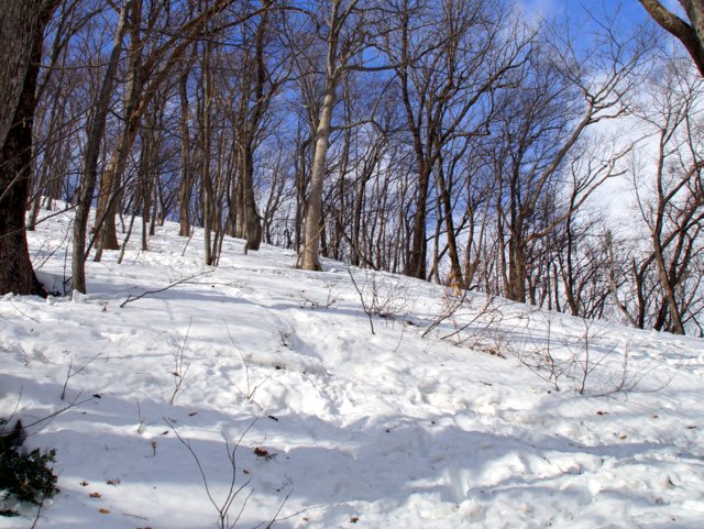 a0345007_10134779.jpg