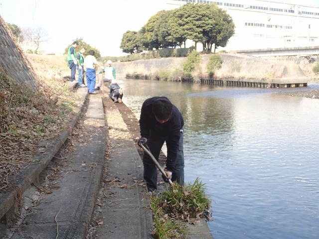「2016お花見ウォーク」に備えた「田宿川・滝川の土手普請」_f0141310_75598.jpg
