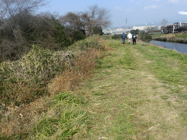 「2016お花見ウォーク」に備えた「田宿川・滝川の土手普請」_f0141310_78750.jpg