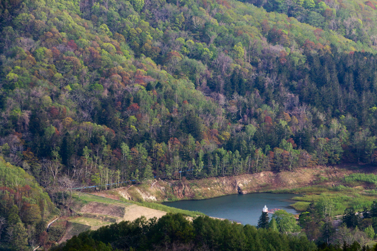 d0339411_20483901.jpg