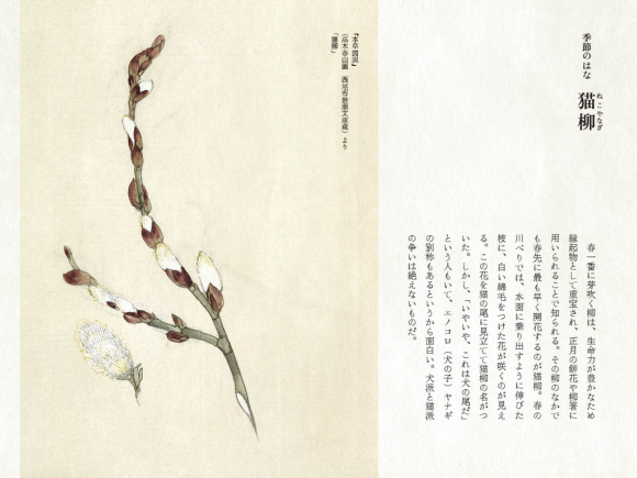最近の配信から_c0025115_20034749.png