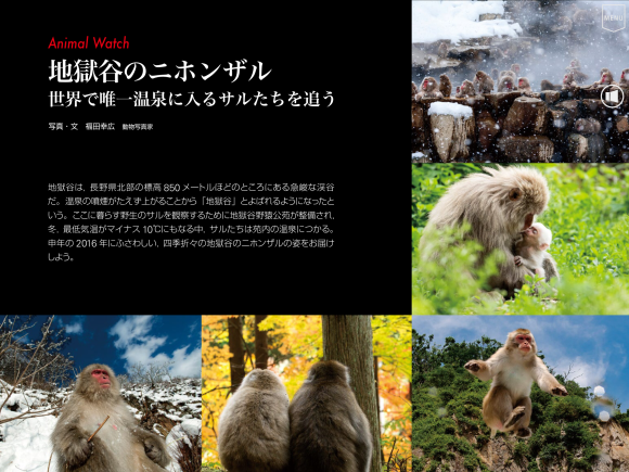 最近の配信から_c0025115_20151476.png