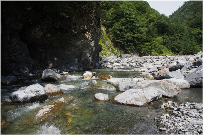 2015,08,11 (火)南アルプスの渓 _d0172015_20155689.jpg