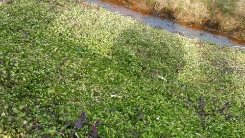 f0248616_09021996.jpg