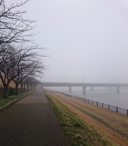 c0084117_17441919.jpg