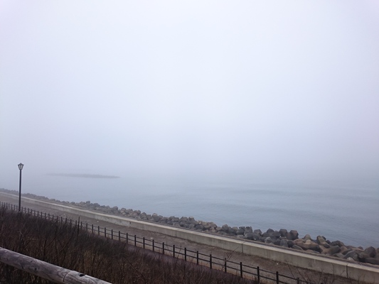 c0084117_17452831.jpg