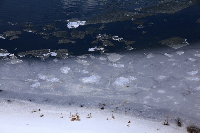 e0242721_718817.jpg