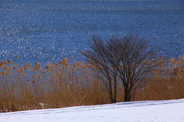 e0242721_7201049.jpg