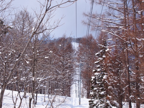 黒森山スノートレッキング(黒石市)*2016.02.28_b0147224_18125842.jpg