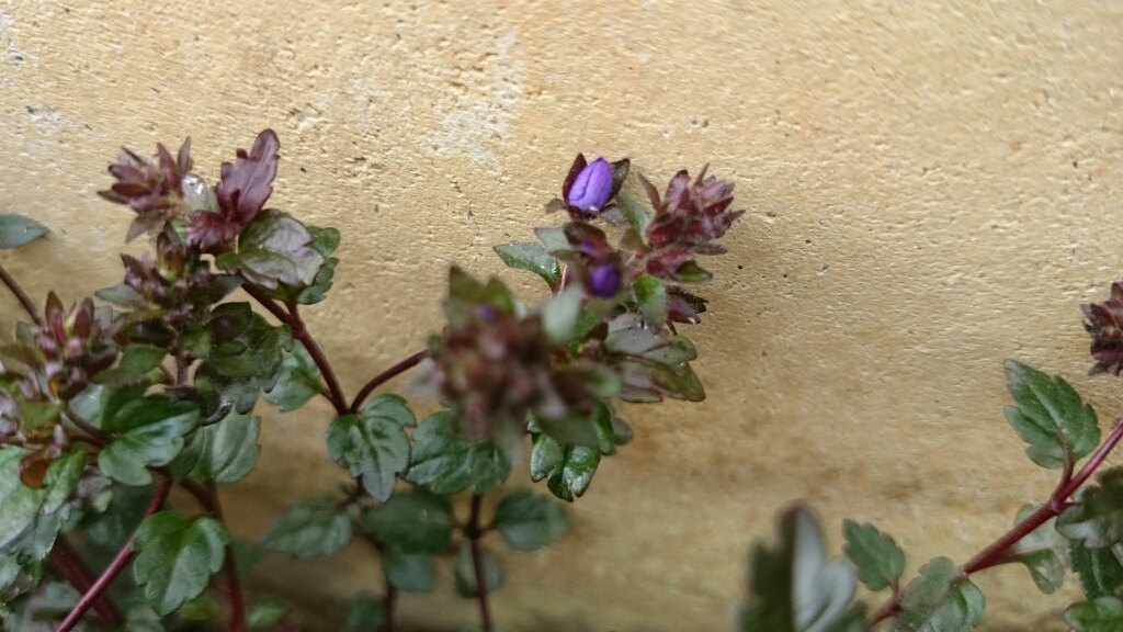 e0263224_01273955.jpg