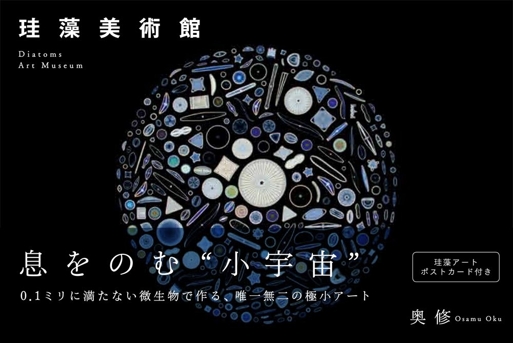 奥 修『珪藻美術館　 Diatoms Art Museum』_b0035326_12155227.jpg