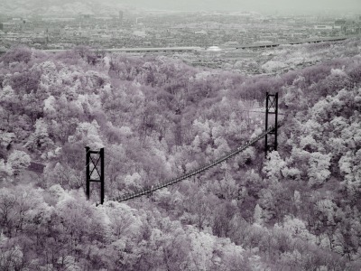 f0186527_20041200.jpg