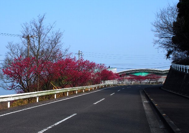 b0149340_210525.jpg