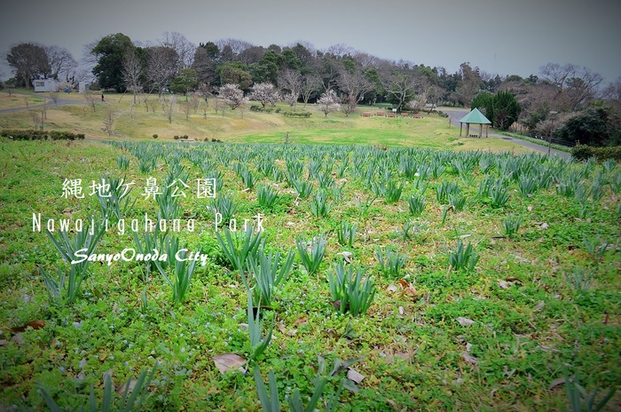 ”縄地ケ鼻公園～Sanyo Onoda City～3/8tue\"_d0153941_14543631.jpg
