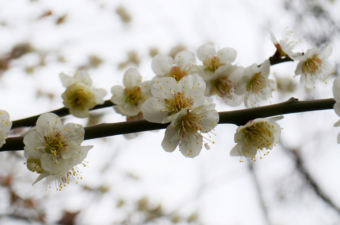”縄地ケ鼻公園～Sanyo Onoda City～3/8tue\"_d0153941_14545227.jpg