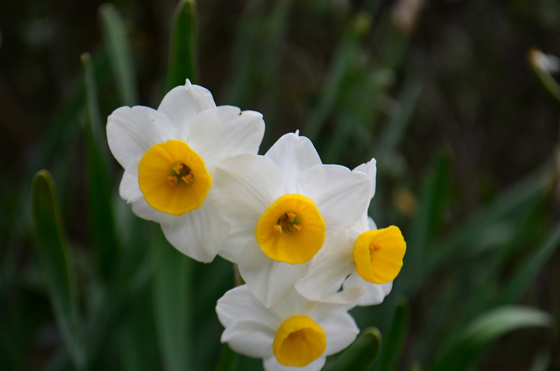”縄地ケ鼻公園～Sanyo Onoda City～3/8tue\"_d0153941_14551156.jpg
