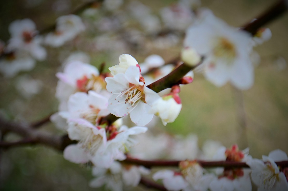 ”縄地ケ鼻公園～Sanyo Onoda City～3/8tue\"_d0153941_14552938.jpg