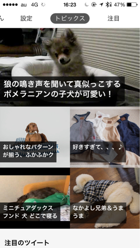 【AD】イヌに特化した無料のニュースアプリ「わんこGoGo」_c0060143_17085554.jpg