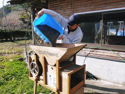 無農薬・無化学肥料で育てた「菊池水源産エゴマ」 エゴマ油、焙煎エゴマ粒(白)数量限定で販売中!_a0254656_1823451.jpg